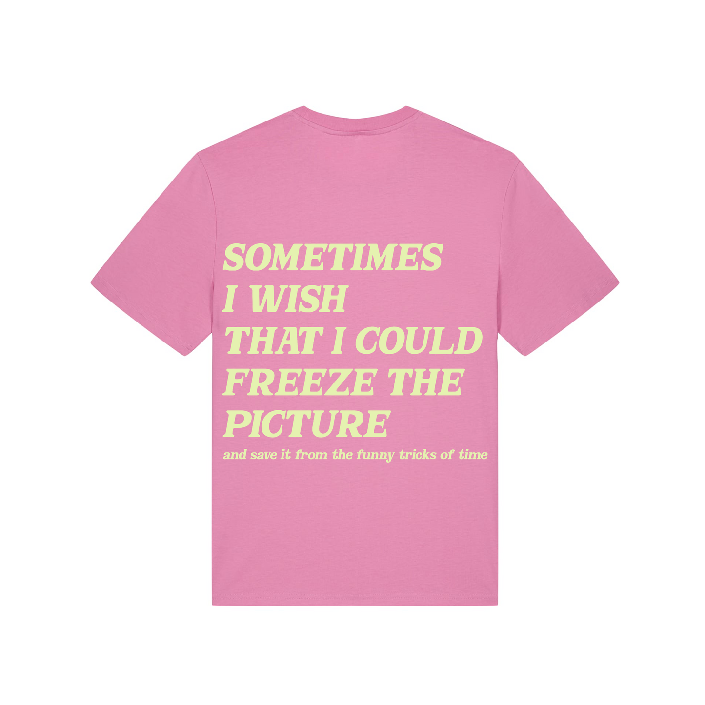 Freeze the Picture Classic T-Shirt